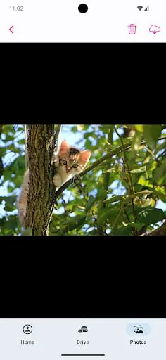 SyncCloud for iPhotos & iDrive